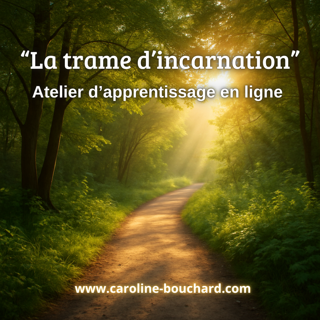 Harmonisation de la trame d'incarnation - Atelier d'apprentissage en ligne