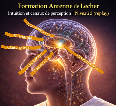 Formation Antenne de Lecher - Intuition et canaux de perception _ Niveau 3