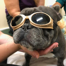 Laser Therapy