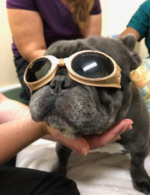 Laser Therapy
