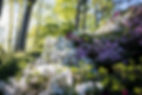 Northwood-42.jpg