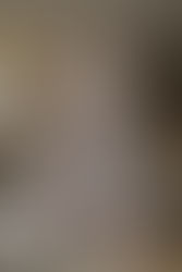 Step Back Into the Sparkle with a Vintage Aluminum Christmas Tree