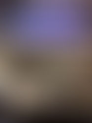 Trabalhadores aprovam índices de reajustes