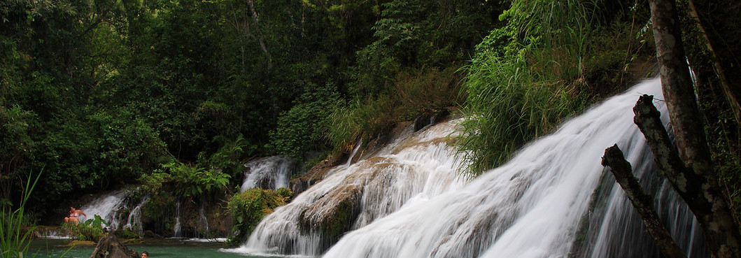 jungle Waterfall
