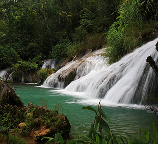 Jungle Waterfall