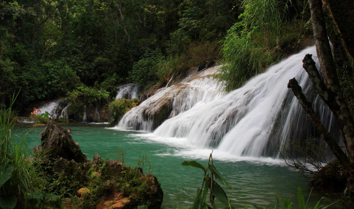 Jungle Waterfall