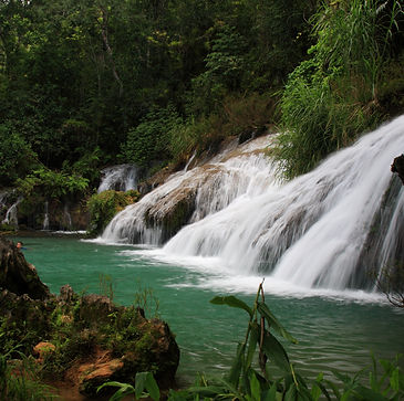 Cascada de la selva