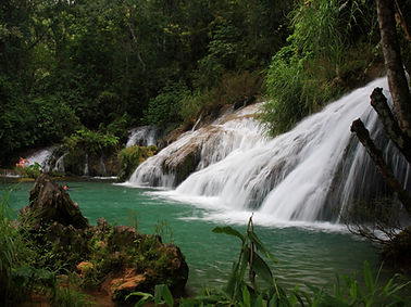 Jungle Waterfall