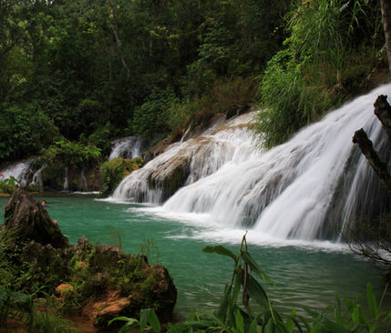 Cascada de la selva