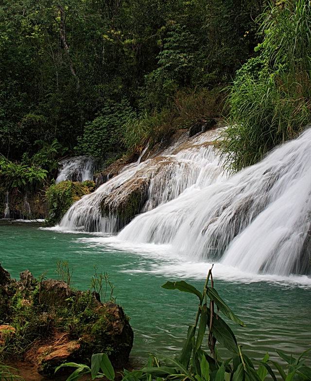 Jungle Waterfall