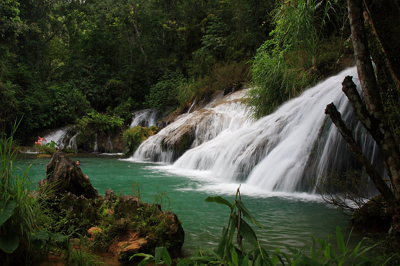 Cascade jungle