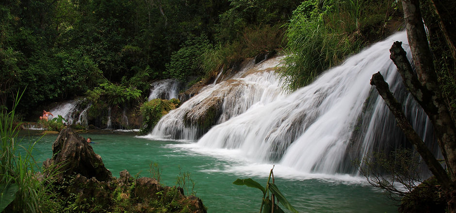 Jungle Waterfall
