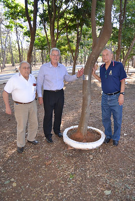 Identificação Árvore da Turma_2.JPG