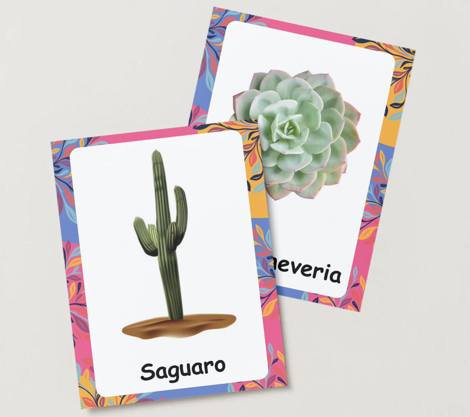 Cactus or Succulent Game