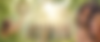 WWFBANNER3.png