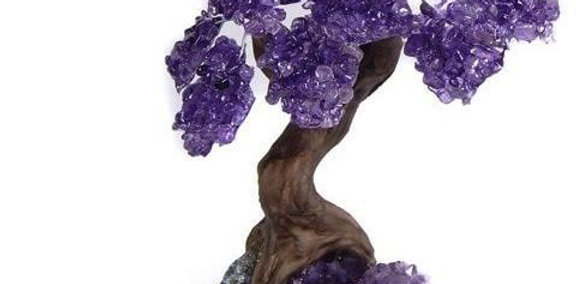 Amethyst Bonsai Tree