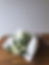 Thumbnail: Elegance 
