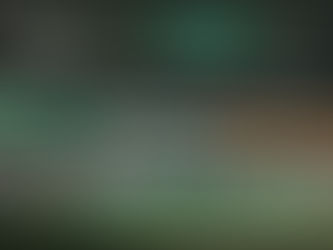 Celtic Fan Survey Results Revealed