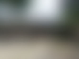  【会員寄稿コラム】東京・多摩に残る秀郷の痕跡①（府中市／高安寺・秀郷稲荷大明神）（羽村市／武蔵阿蘇神社）