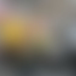 『第33回さの秀郷まつりに参加しました』2025年9月13・14日開催