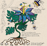 インスタグラムイラスト