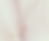 select all.png