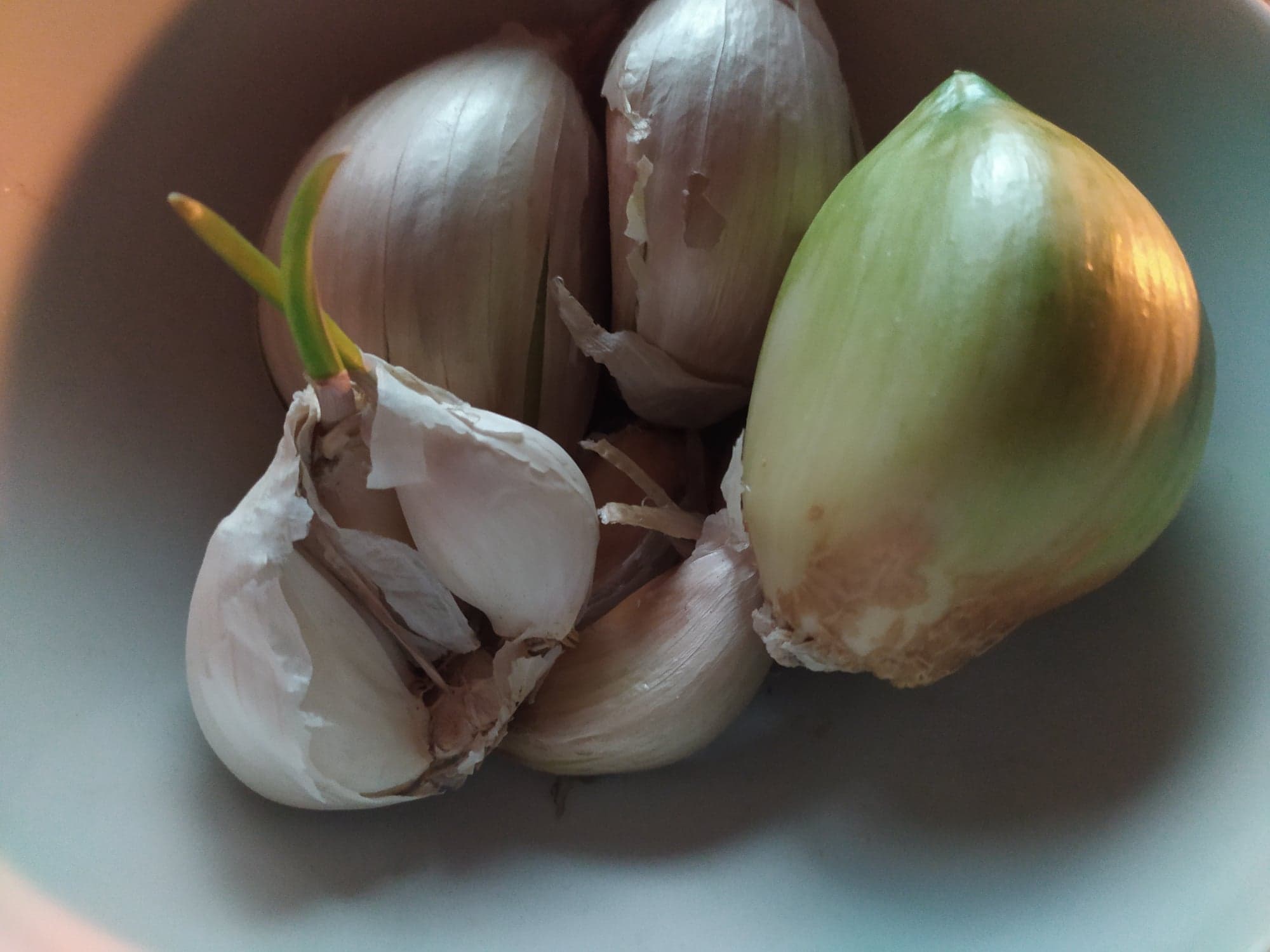 Elephant Garlic content media