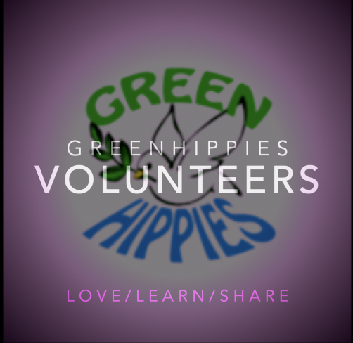 VOLUNTEERS content media