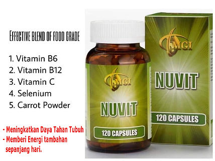 NUVIT-MCI - Risman.jpg