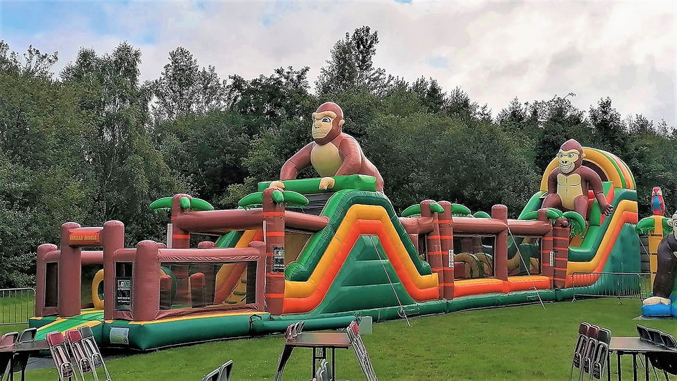 maxi gorilla breed (4).jpg