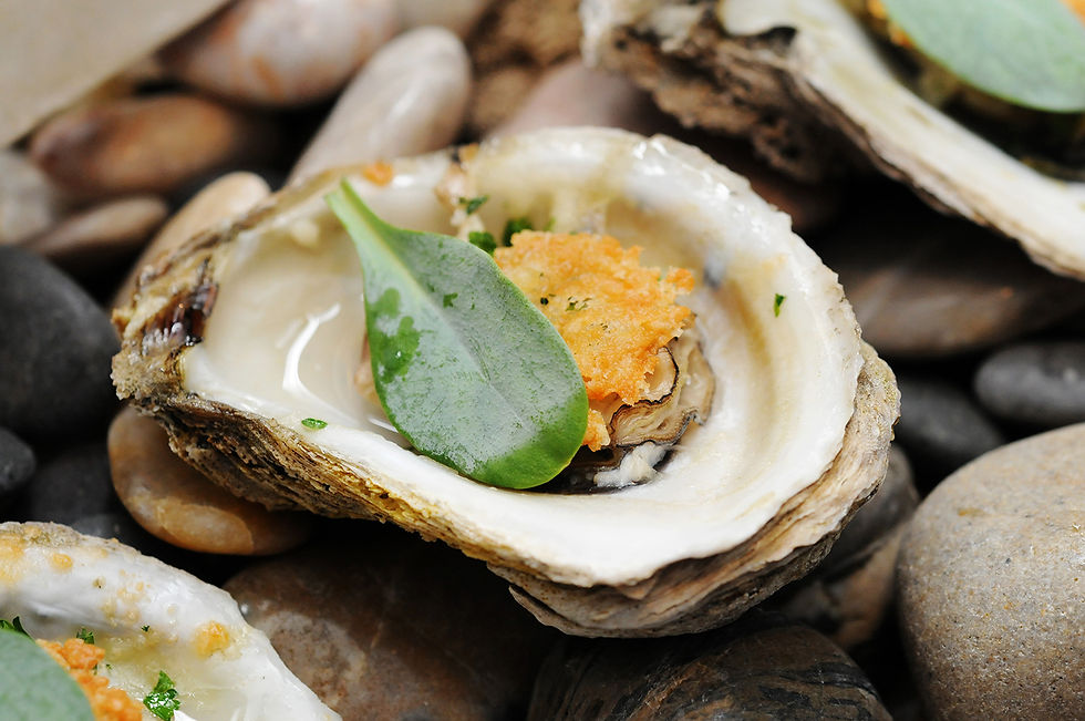 Char Boiled Oysters