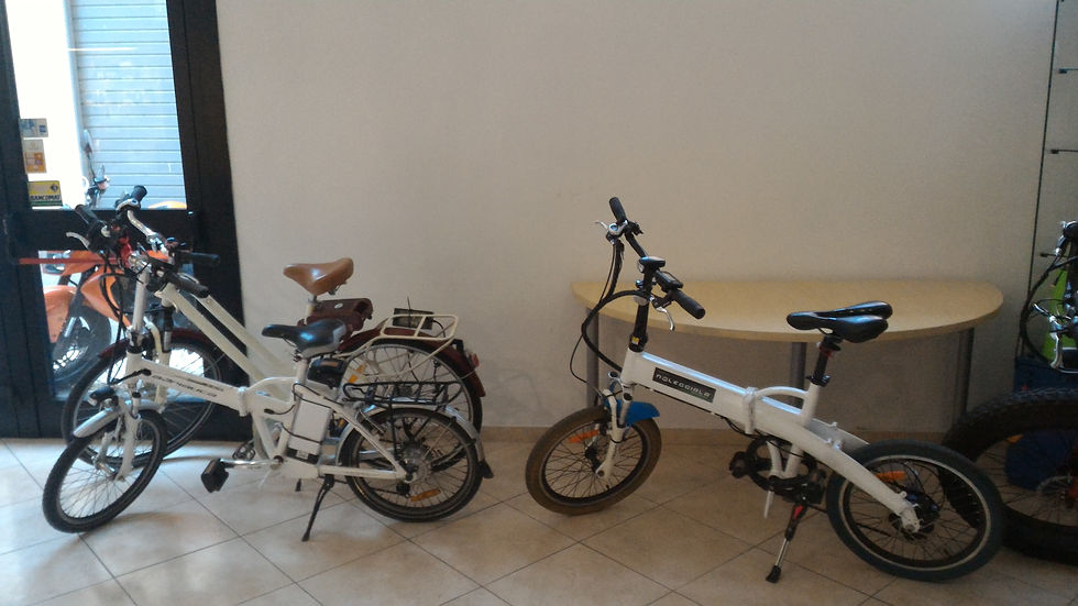 BICI1