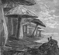 Le codage dans le littéraire