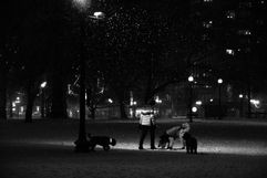 Blizzard-020121-28.jpg