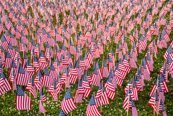 MemorialFlags-5_27-6.jpg