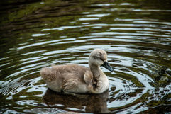 CloudyDay-49.jpg