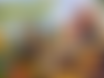 ✠ Tin Mừng Chúa Giê-su Ki-tô theo thánh Gio-an (Ga 6,22-29)