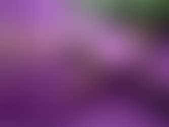 ✠ Tin Mừng Chúa Giê-su Ki-tô theo thánh Mát-thêu (Mt 6,1-6.16-18)