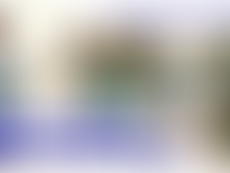 ✠ Tin Mừng Chúa Giê-su Ki-tô theo thánh Mát-thêu (Mt 12,14-21)