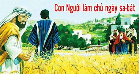 ✠ Tin Mừng Chúa Giê-su Ki-tô theo thánh Mác-cô (Mc 2,23-28)