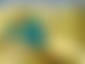 ✠ Tin Mừng Chúa Giê-su Ki-tô theo thánh Lu-ca (Lc 13,18-21)