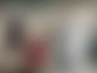 ✠ Tin Mừng Chúa Giê-su Ki-tô theo thánh Mát-thêu (Mt 28,8-15)