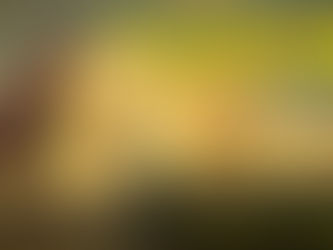 ✠ Tin Mừng Chúa Giê-su Ki-tô theo thánh Mát-thêu (Mt 14,22-36)