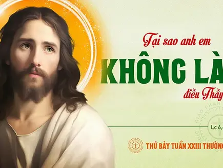 ✠ Tin Mừng Chúa Giê-su Ki-tô theo thánh Lu-ca (Lc 6,43-49)