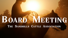 2024 Annual Member Meeting