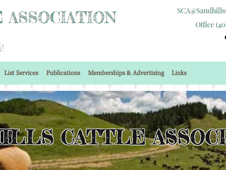 How to view the SCA List Services