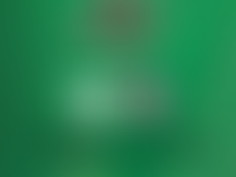 Njarvík tekur á móti Snæfell