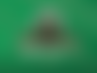 Njarðvík TV ættir að sýna frá yngri flokkum.