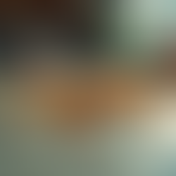 The Danger of a Dirty Home