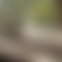 Jivel Tousand teaches how in today’s fast-paced world, navigating the overlap of faith and business can feel overwhelming, but can still be accomplished with God's purpose in play.